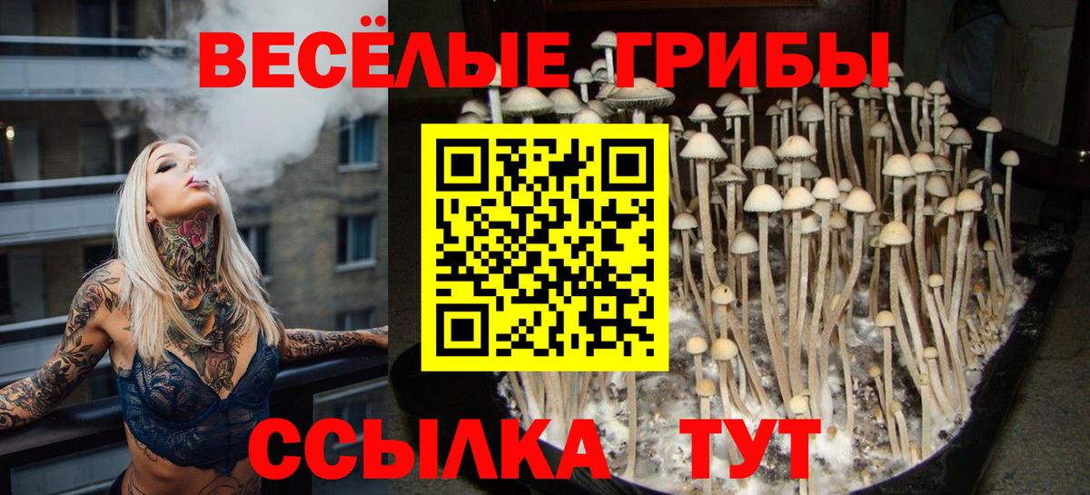 Псилоцибиновые грибы мухоморы Междуреченск